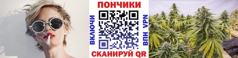 Купить  Черепаново  Шишки марихуана SATIVA & INDICA 